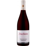 Jean Stodden Das Rotweingut Spätburgunder Rulandské modré suché červené 2018 13% 0,75 l (holá láhev) – Hledejceny.cz