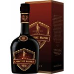 Karpatské Brandy Speciál 40% 0,7 l (kazeta) – Zboží Dáma