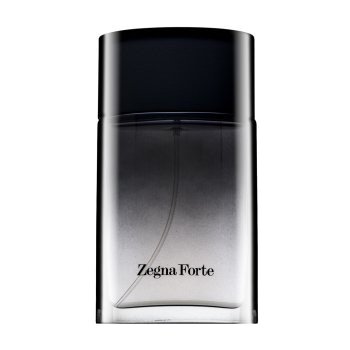 Ermenegildo Zegna Forte toaletní voda pánská 50 ml