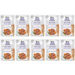 Brit Care Cat Fillets in Gravy Savory Salmon 85 g – Sleviste.cz