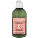 L'Occitane regenerační Conditioner Aromachologie Repairing Conditioner pro suché a poškozené vlasy 250 ml