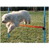 Výcvik psů Trixie Agility překážka 123 x 115 cm