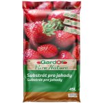 Gardol Pure Nature Pěstební substrát pro jahody 45 l – Hledejceny.cz