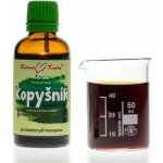 Bylinné kapky Kopyšník kořen tinktura 50 ml – Hledejceny.cz
