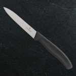 Victorinox univerzální nůž 10 cm s gravírováním – Hledejceny.cz