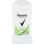 Rexona Aloe Vera Fresh deostick 40 ml – Hledejceny.cz