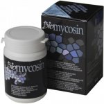 Chytrá houba Biomycosin přípravek s antimykotickou přísadou 10 g – Zboží Dáma