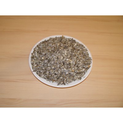 LLC West-Dale Slunečnice žíhaná 5 kg – Hledejceny.cz