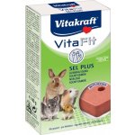 Vitakraft Vita Fit Solný kámen pro hlodavce 40 g – Zbozi.Blesk.cz