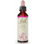 Bachovy květové esence Jilm Elm 20 ml – Hledejceny.cz