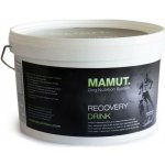 Mamut Energetický doplněk stravy Recovery Drink 800 g – Hledejceny.cz
