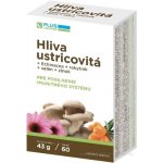Vitar Hlíva ústřičná 60 ks – Hledejceny.cz