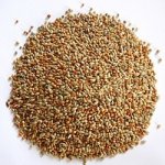 Apetit drobný exot 0,8 kg – Hledejceny.cz