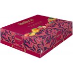 BIOGENA Traditional maxi 60 x 2 g – Hledejceny.cz