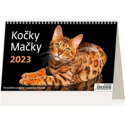 stolní Kočky 2023