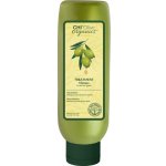 CHI Olive Organics Masque Treatment maska s olivovým olejem 177 ml – Zbozi.Blesk.cz