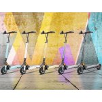 Motus Scooty PRO 8.5 LITE – Zboží Dáma