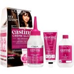 L’Oréal Paris Casting Creme Gloss barva na vlasy 513 Iced Truffle – Zboží Mobilmania