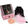 Erotická kosmetika Secret Play Edible Powder & Feather Tickler Kit Sparkling Strawberry
