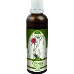 T4 Česnek medvědí a setý 50 ml – Hledejceny.cz