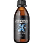 BrainMax Lipozomální Kloubní výživa Acti-Joint 250 ml – Hledejceny.cz