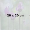 Klasický fotorámeček BFHM Rám Euroclip 20x20 cm (plexisklo)