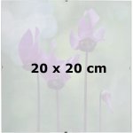 BFHM Rám Euroclip 20x20 cm (plexisklo) – Zboží Mobilmania
