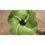 Bosch MMB6762M – Sleviste.cz