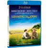 Vzpomínky na Afriku / Out Of Africa BD