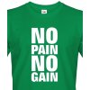 Pánské sportovní tričko No pain no gain Canvas pánské tričko s krátkým rukávem zelená