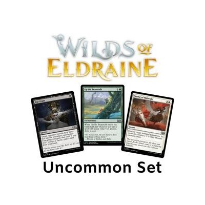 Wilds of Eldraine: Uncommon Set EN/NM – Zboží Mobilmania