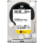 WD RE4 250GB, WD2503ABYZ – Hledejceny.cz