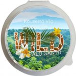 Kouzelná Víla sojový vosk Palo Santo 20 g – Hledejceny.cz