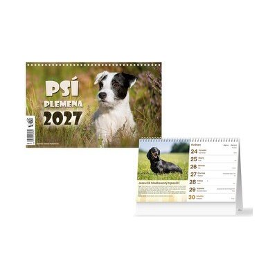 stolní Psí plemena 1061777 2027 – Sleviste.cz