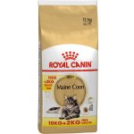 Royal Canin Maine Coon Adult 12 kg – Hledejceny.cz