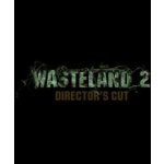 Wasteland 2 (Director's Cut) – Hledejceny.cz