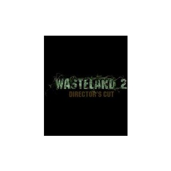 Wasteland 2 (Director's Cut)