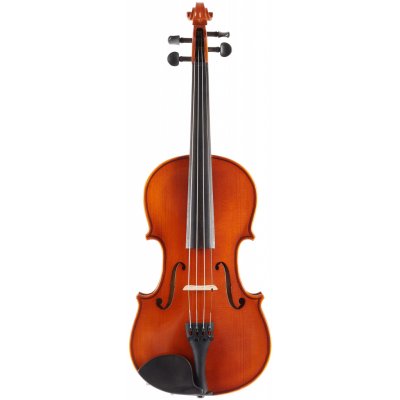 Eastman Samuel Eastman Violin 4/4 VL50SBC – Hledejceny.cz