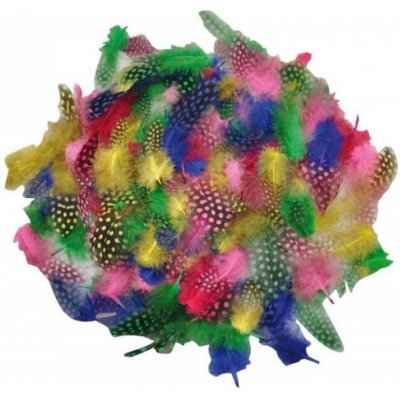 Kropenaté barevné peří měkké, 100 ks – Zbozi.Blesk.cz