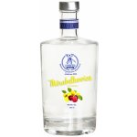 Palírna u Větrného Mlýna Mirabelkovice 50% 0,5 l (holá láhev) – Zboží Dáma