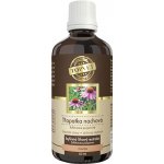 Green idea Echinacea třapatka nachová tinktura 50 ml – Hledejceny.cz