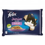 Felix Fantastic Junior s kuřetem a lososem v želé 4 x 85 g – Sleviste.cz