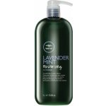 Paul Mitchell Moisturizing Conditioner Tea Tree Lavender Mint 1000 ml – Zboží Dáma