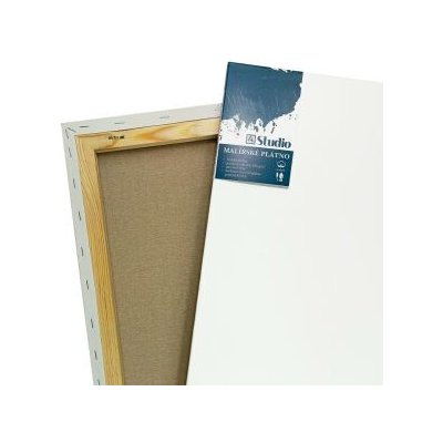 Artikon Studio Malířské plátno 70x100cm – Sleviste.cz