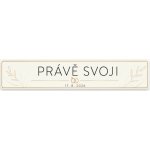 Bezvadary.cz | Svatební SPZ na přání Právě svoji v minimalistickém stylu - 30x6,3 cm / PVC - plast 3mm zs13 – Sleviste.cz