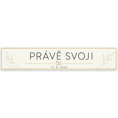 Bezvadary.cz | Svatební SPZ na přání Právě svoji v minimalistickém stylu - 30x6,3 cm / PVC - plast 3mm zs13 – Sleviste.cz