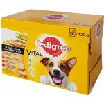 Pedigree Vital Protection mix 12 x 100 g – Sleviste.cz