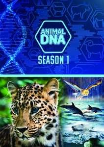 ANIMAL DNA: SEASON ONE DVD