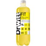 DrWitt FIT mango cit. zel.čaj 0,75 l – Hledejceny.cz
