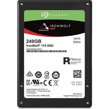 Seagate IronWolf 110 240GB, ZA240NM10011